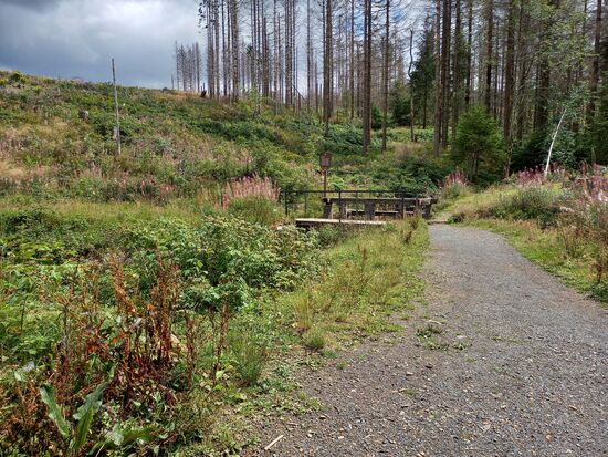 Wir überqueren den Graben. An der Brücke ist die Jahreszahl der Restaurierung vermerkt. Vieles vom Graben System wurde in den letzten 15 bis 20 Jahren Instand gesetzt.