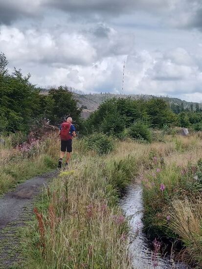 Wir gehen aber ohne Pause weiter, immer am Graben entlang.