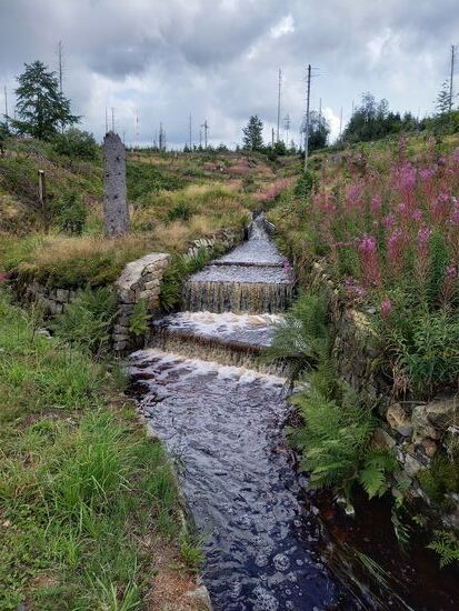 Blick auf das Grabensystem