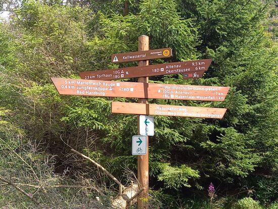 Hier wollten wir Richtung Torfhaus gehen,  doch der Pfad war gesperrt und so mussten wir dem naturnahen Weg folgen,  der es in sich hatte.