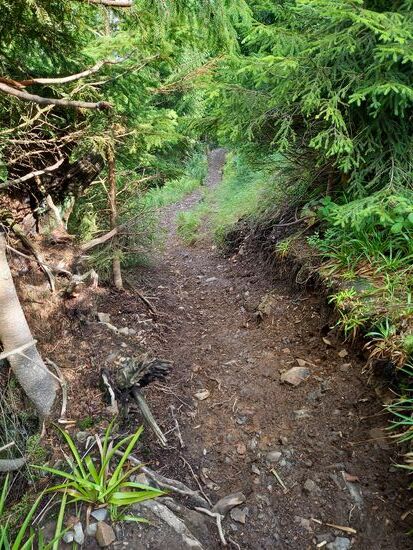 Es ging steil bergab und es war Trittsicherheit und Vorsicht geboten.