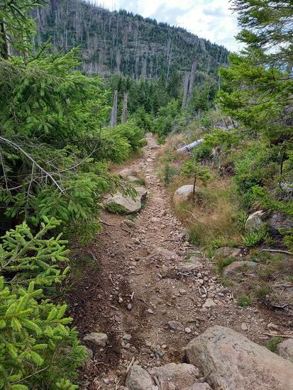 Zum Glück war es aber nur ein relativ kurzer Abschnitt