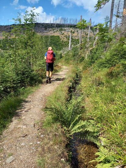 Dann ging es wieder ganz entspannt im leichten auf und ab bis zum Parkplatz zurück und das Wetter hatte sich tatsächlich freundlich gezeigt.