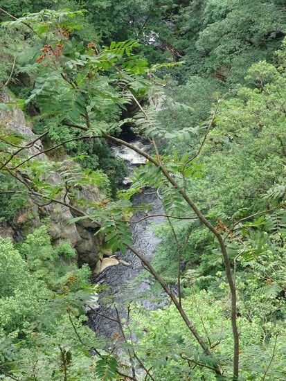 Die Bode begleitet rauschend den Weg.