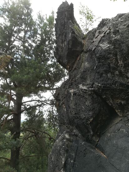 Das sieht teuflisch aus