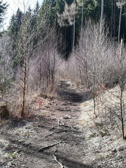 Wir folgen diesem Pfad