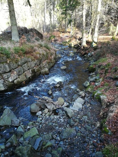 Der Weg führt entlang des Lohnbach