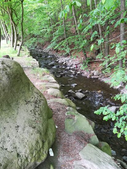 Direkt am großen Parkplatz, ein Bachlauf wie er ganz typisch ist für den Harz.