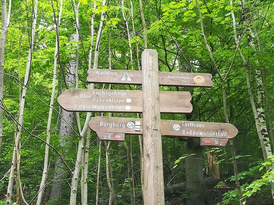 Das Luchsgehege ist unser erstes Etappenziel.