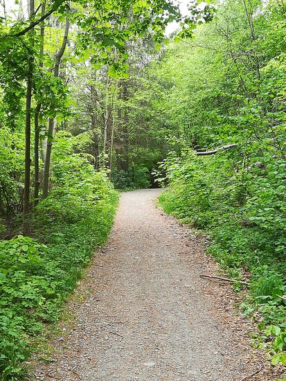 Ganz entspannt geht es zunächst diesen Weg entlang.