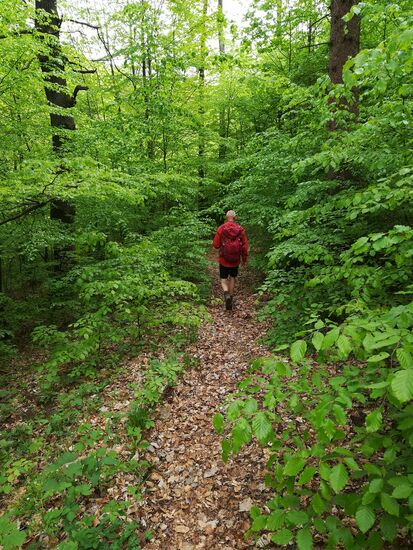 Auf dem durch Laub bedeckten Pfad wird jeder Schritt sanft gedämpft.
