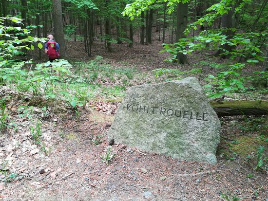Kaum haben wir diesen Stein entdeckt, macht Matthias sich auf die Suche nach der Quelle.