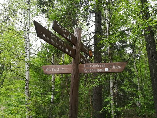 Nur noch 1km bis zum Luchsgehege 