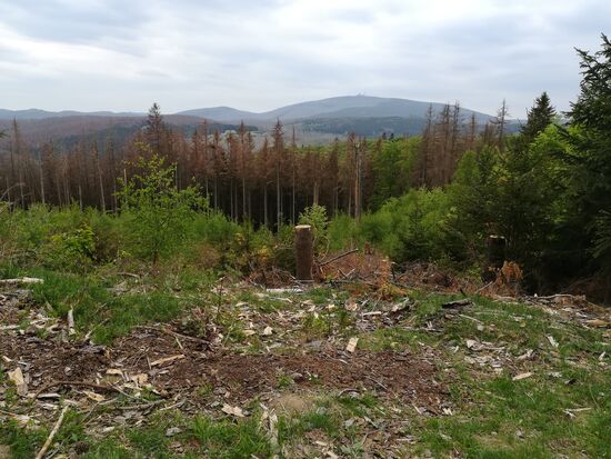 In der Ferne ist der Brocken mit ca. 1140m Höhe zu sehen.