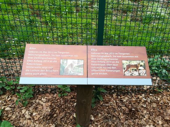 Hier leben Alice und Ellen.