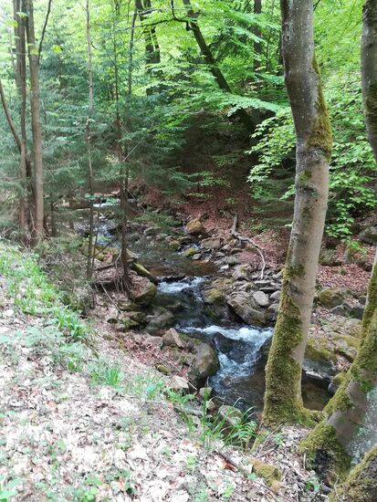 Wir folgen dem Lauf der Ecker.