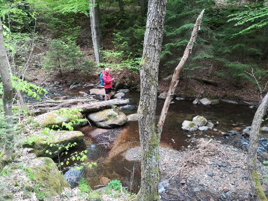 Matthias muss sich das näher ansehen und natürlich im Bild festhalten.