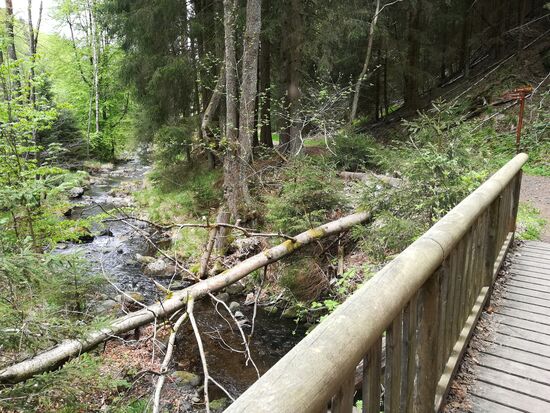 Schließlich queren wir die Ecker, um am anderen Ufer weiter zu unserem zweiten Etappenziel zu marschieren, dem Molkenhaus.