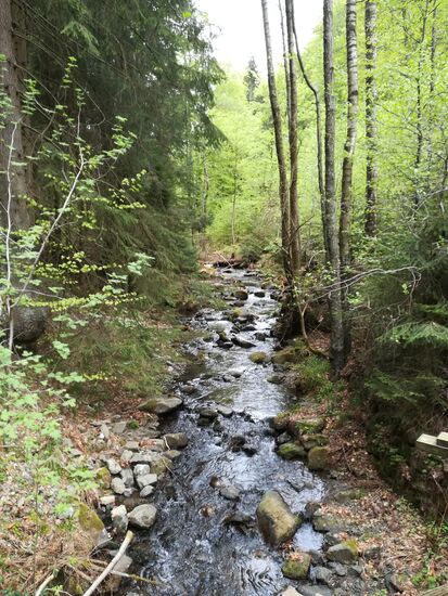 Ein letzter Blick auf die Ecker.