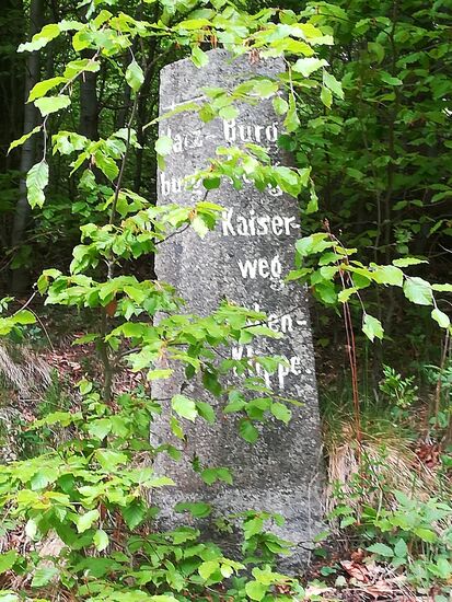 Ein Wegweiser aus vergangenen Zeiten. Bereits Goethe war hier im Harz als Wanderer unterwegs.