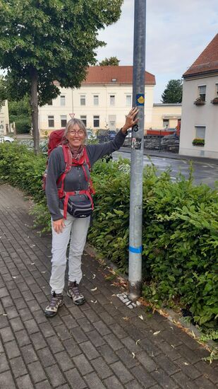 Wie jeden Tag, die erste Jakobsmuschel wird abgelichtet.