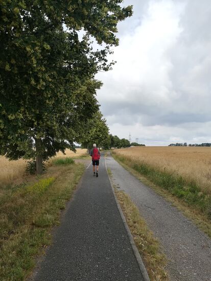 Dann geht es lang und weilig knapp 10km entlang von Feldern und Wiesen weiter.