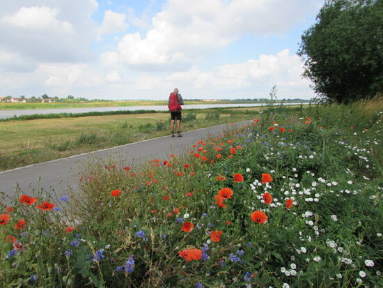 Wir weichen heute etwas von der Via Regia ab und gehen 20km entlang der Elbe bis zur Fähre die uns nach Strehla bringt. Das marschieren entlang der Elbe ist eine schöne Abwechslung zu den vergangenen Tagen.