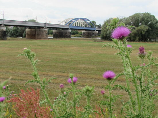 Die Brücke nach Riesa