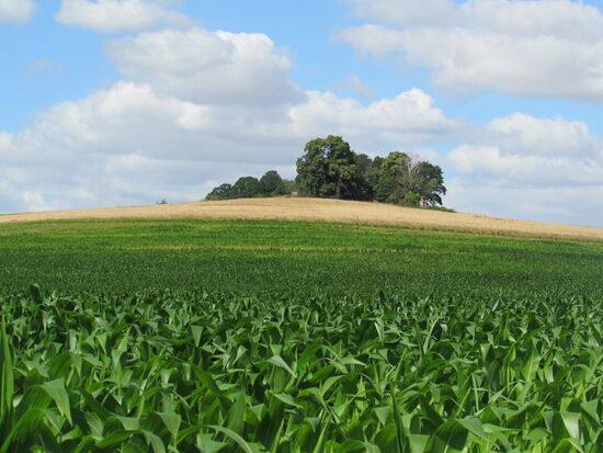 Unsere Blicke schweifen über die Felder in die Ferne und im Zusammenspiel mit dem sich ständig ändernden Wolkenhimmel entstehen auch immer neue schöne Aussichten.