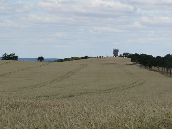Am Horizont ist unser erstes Ziel zu sehen, die Bockwindmühle auf dem Liebschützer Berg.