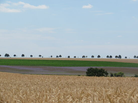 Richtung Lampertswalde lässt es sich im sanften auf und ab gut gehen und wir genießen die Aussicht.
