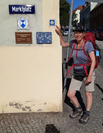 Nach wenigen Schritten sehen wir auch schon die erste Jakobsmuschel.