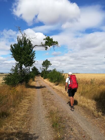 Es ging wieder Kilometer um Kilometer entlang von Feldern und kurze Passagen durch Wald.