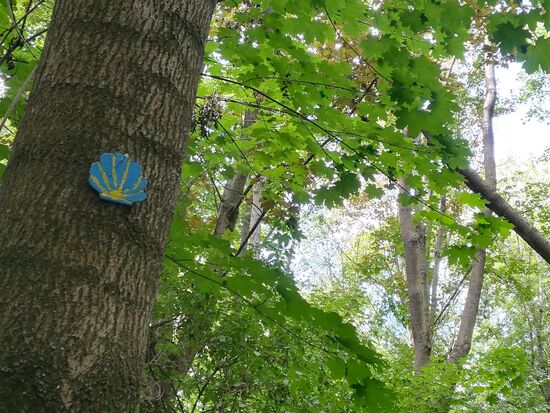 Hier war jemand kreativ und hat hölzerne Jakobsmuscheln aufgehängt.