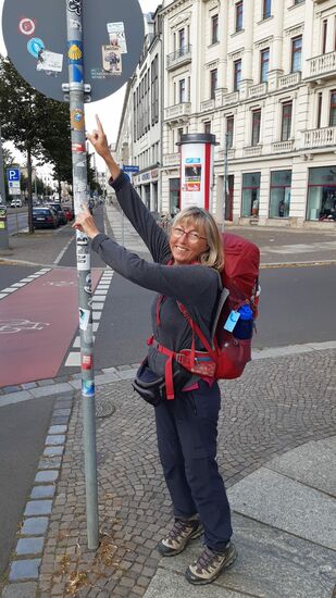 Das ist die erste und einzige Jakobsmuschel die wir in Leipzig entdeckt haben.