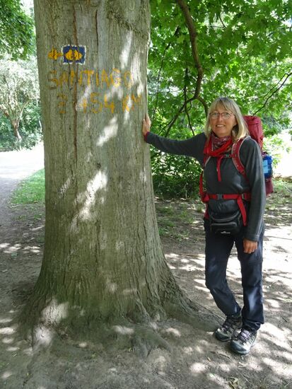 Bis Santiago sind es also nur noch 2454km - na dann, nix wie hin  