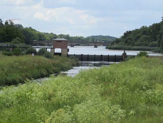 Blick auf die Elster