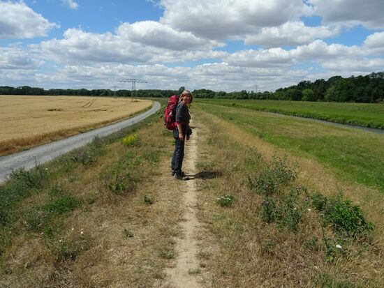 Mehrere Kilometer geht es immer auf dem Damm entlang der Neuen Luppe folgend.