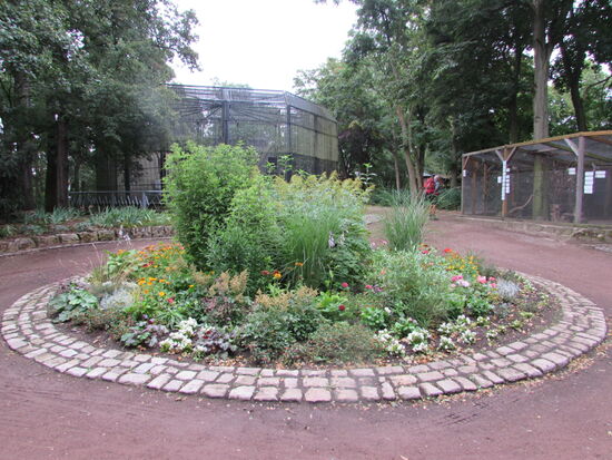 Der Jakobsweg führt in einen zoologischen Park.