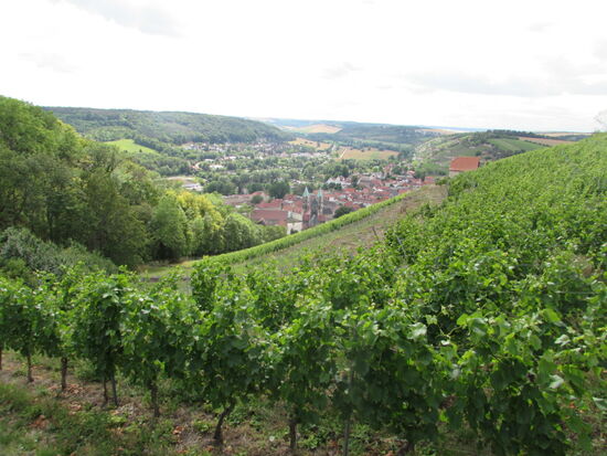 Nach nunmehr 28 Kilometer Fußmarsch haben wir eine atemberaubend schöne Aussicht auf Freyburg.