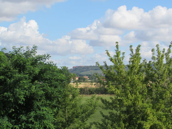 Kurz vor Roßbach können wir ganz in der Ferne noch die Neuenburg von Freyburg sehen.
