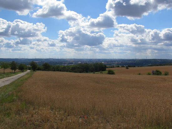 Dann geht es über 3km stetig bergan. Oben angekommen wird man mit einer schönen Aussicht auf Naumburg und das Umland belohnt.