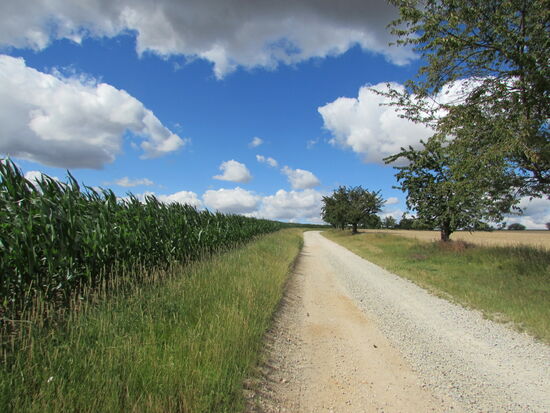 Der Weg führt uns entlang von Feldern die gesäumt sind von Obstbäumen. Heute ist ein traumhaftes Wetter um zu pilgern. Die Temperaturen liegen bei um die 20Grad, blauer Himmel mit Schäfchen Wolken und ein wenig Kühler Wind. Einfach perfekt.