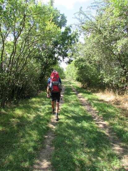 Angenehm abwechslungsreich geht es weiter. Mal Feldweg, dann kleine Wald Passagen und dann mal wieder Landstraßen mit Bäumen flankiert die uns von einem kleinen Dorf ins nächste führen.