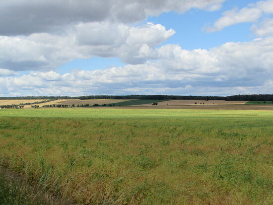 Einfach nur wunderschön