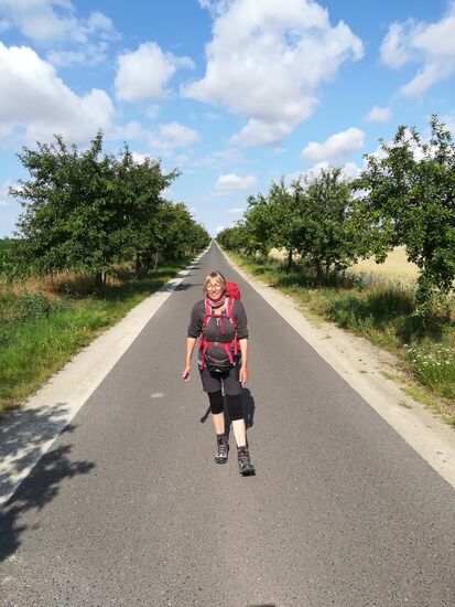 Immer gerade aus, bis zum Horizont.