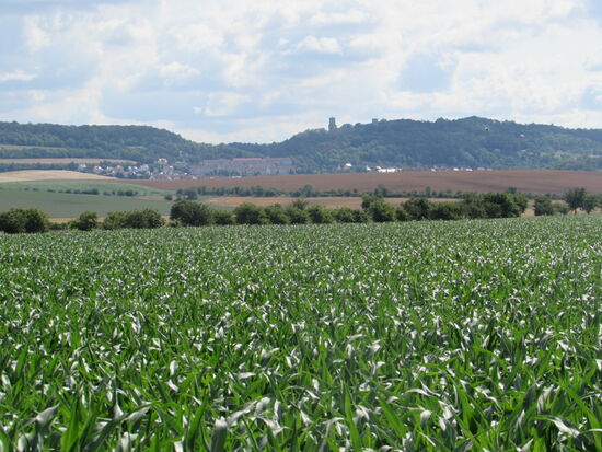 Noch können wir Eckhardtsberga und den Turm der Eckhardtsburg sehen.