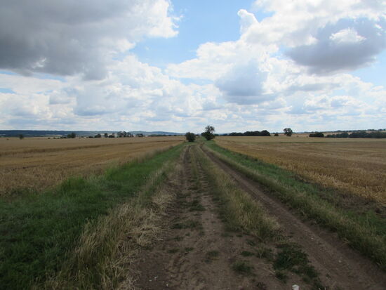 Auch heute haben wir wieder mega gutes Pilger Wetter 
