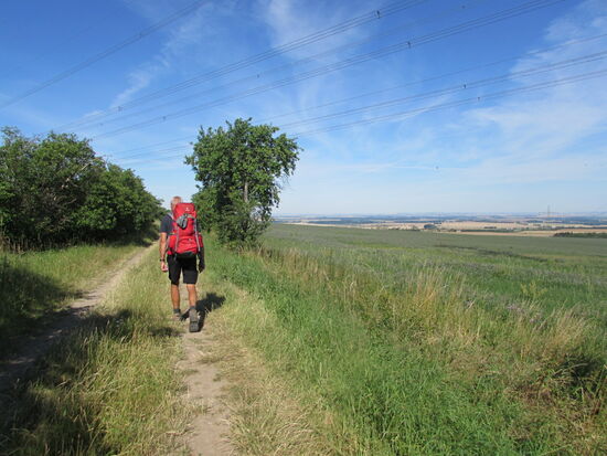 Der Weg bis zum Dorf Hottenstedt geht stetig bergan.