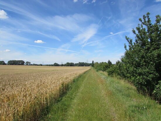 Die letzte Etappe führt uns weiter an Felder vorbei von einem kleinen Dorf zum nächsten.